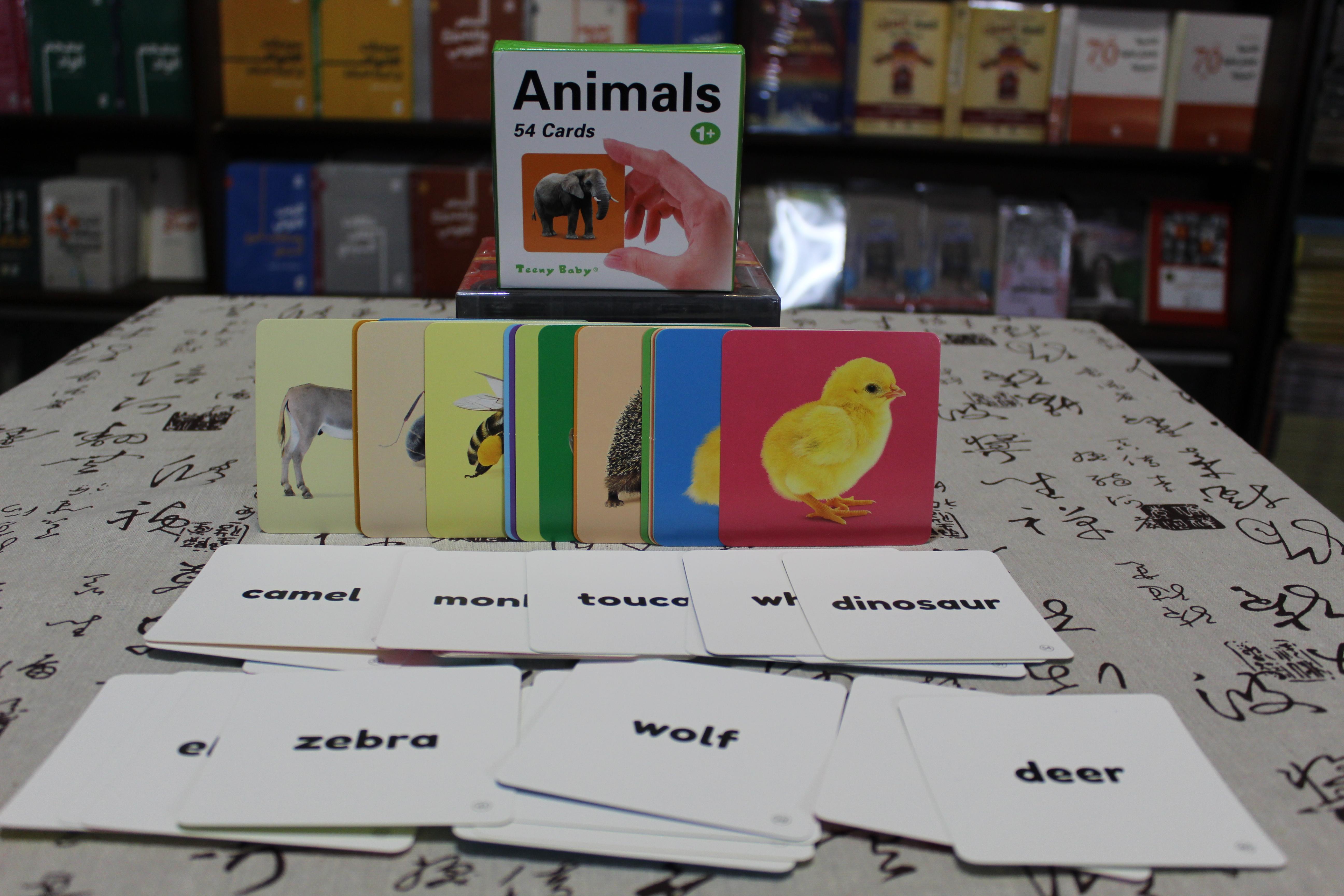 كروت الحيوانات Animals cards